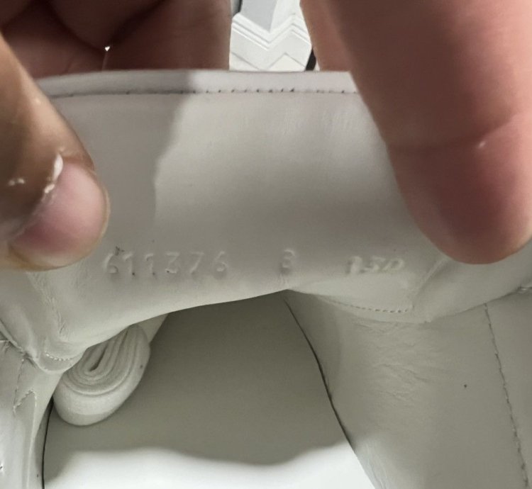 Gucci Ace Sneaker with Apple logo