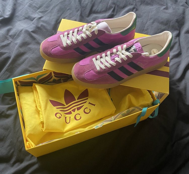 Gucci Adidas Gazelle