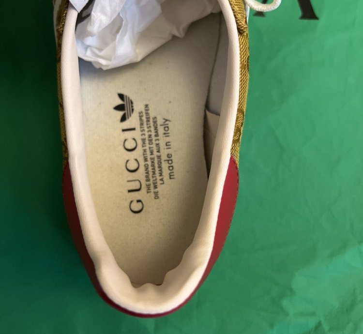Gucci Adidas Gazelle