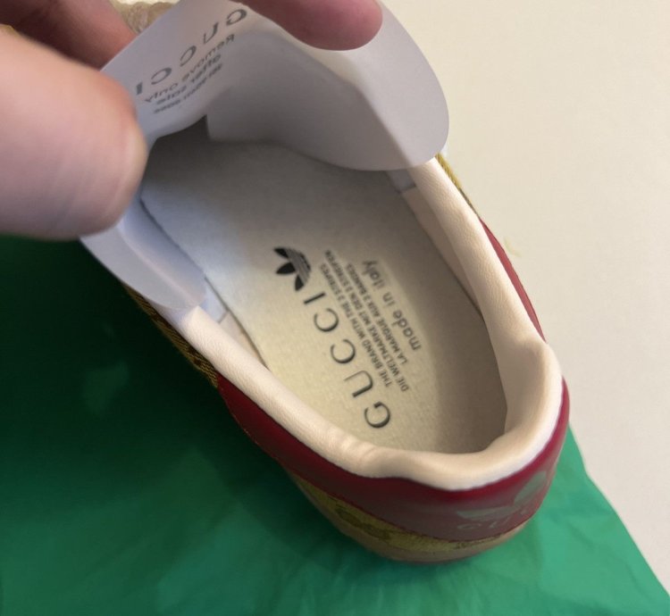 Gucci Adidas Gazelle