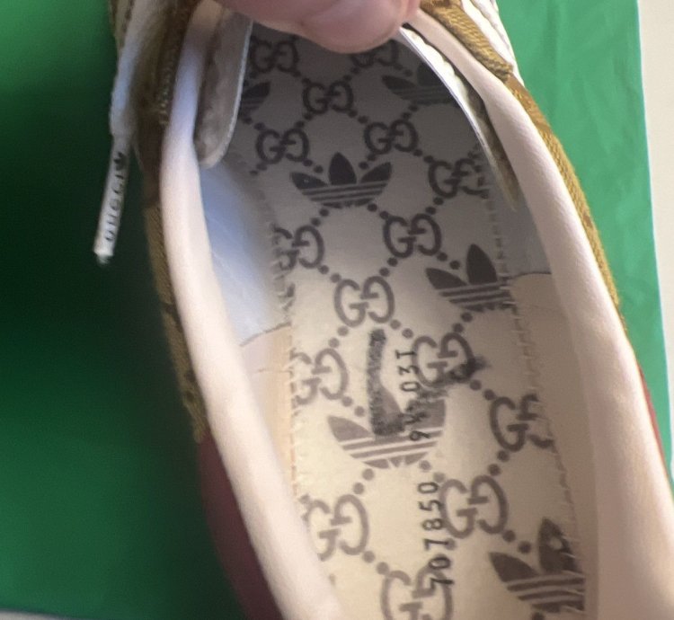 Gucci Adidas Gazelle