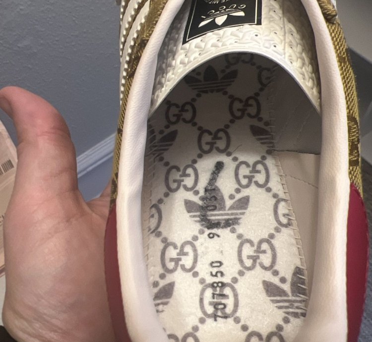 Gucci Adidas Gazelle