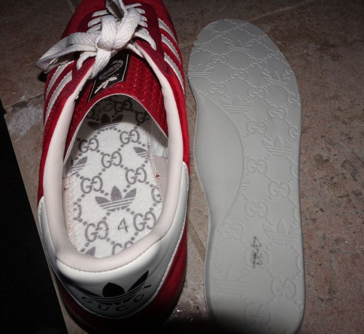 Gucci Adidas Gazelle