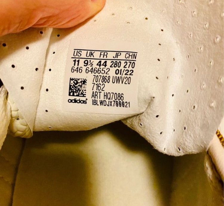 Gucci adidas Gazelle GG Monogram