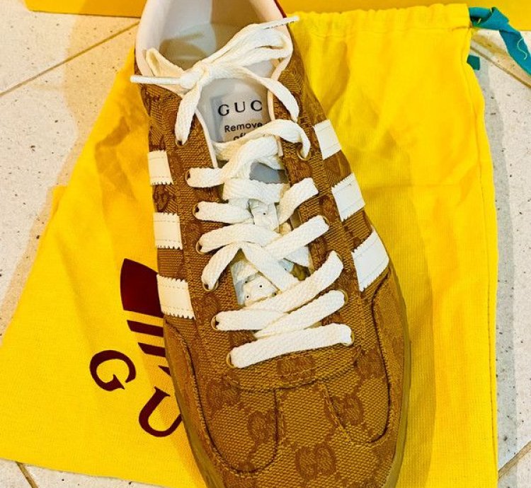 Gucci adidas Gazelle GG Monogram
