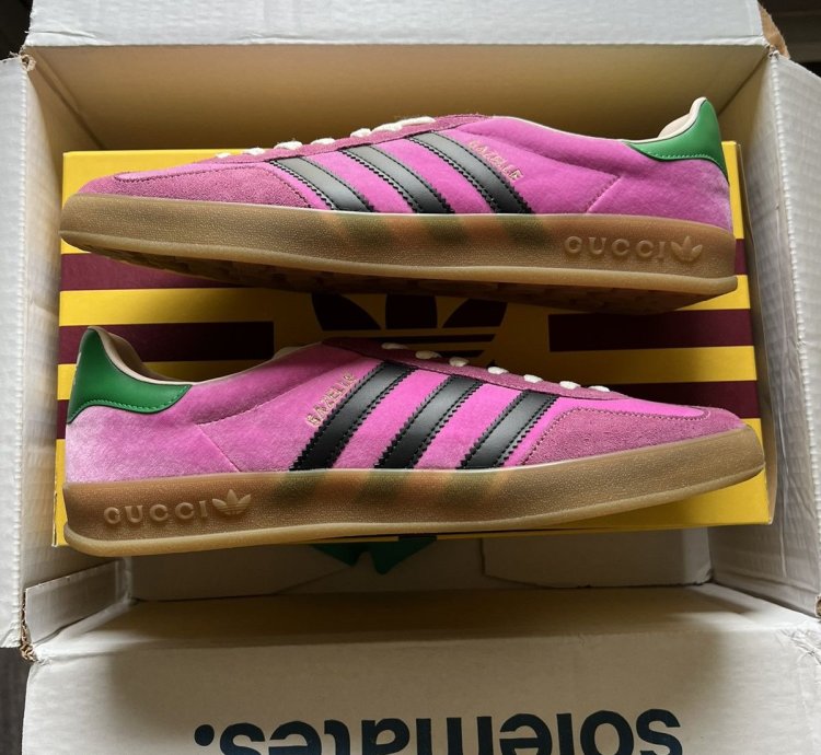 Gucci adidas Gazelle Pink