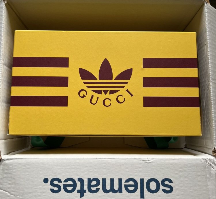 Gucci adidas Gazelle Pink