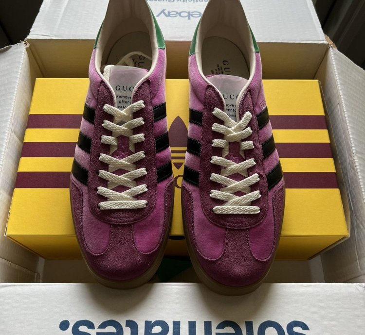 Gucci adidas Gazelle Pink
