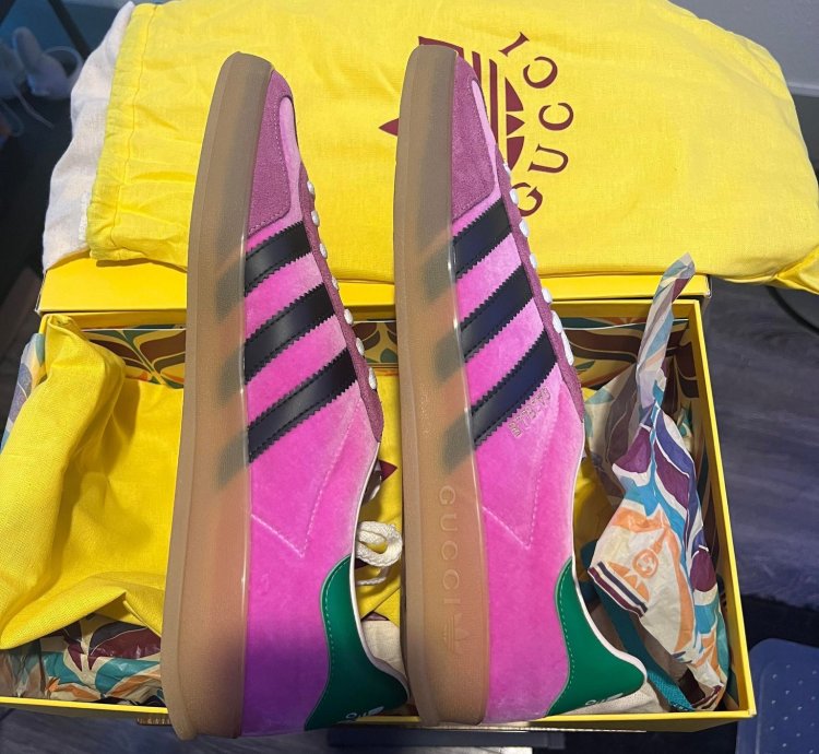 Gucci adidas Gazelle Pink