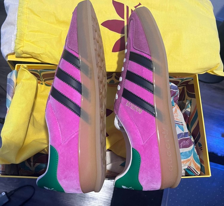 Gucci adidas Gazelle Pink