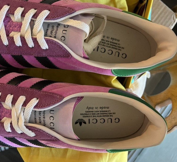 Gucci adidas Gazelle Pink
