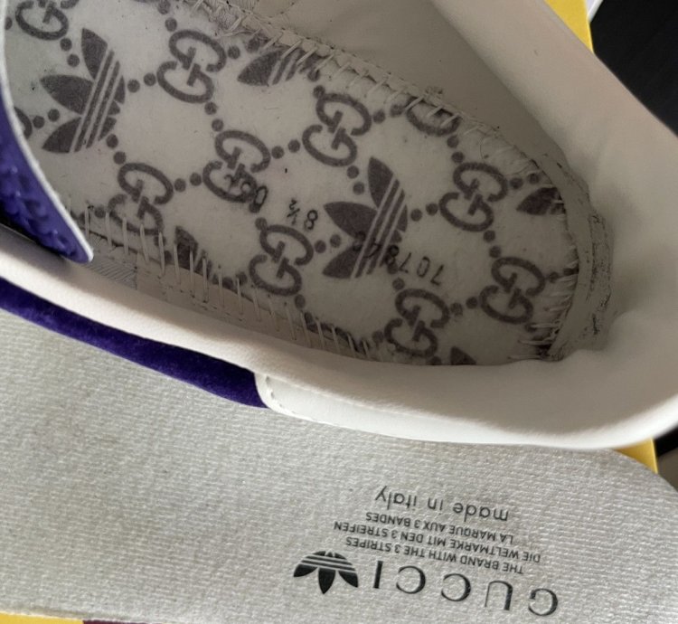 Gucci Adidas Gazelle Purple Velvet New
