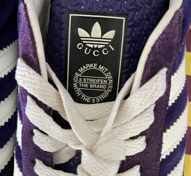 Gucci Adidas Gazelle Purple Velvet New