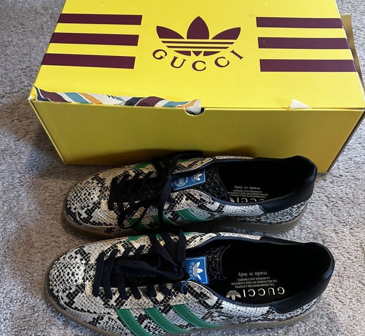 Gucci Adidas Gazelle Python