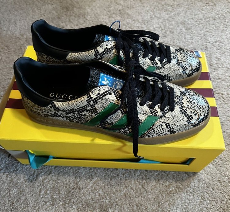 Gucci Adidas Gazelle Python