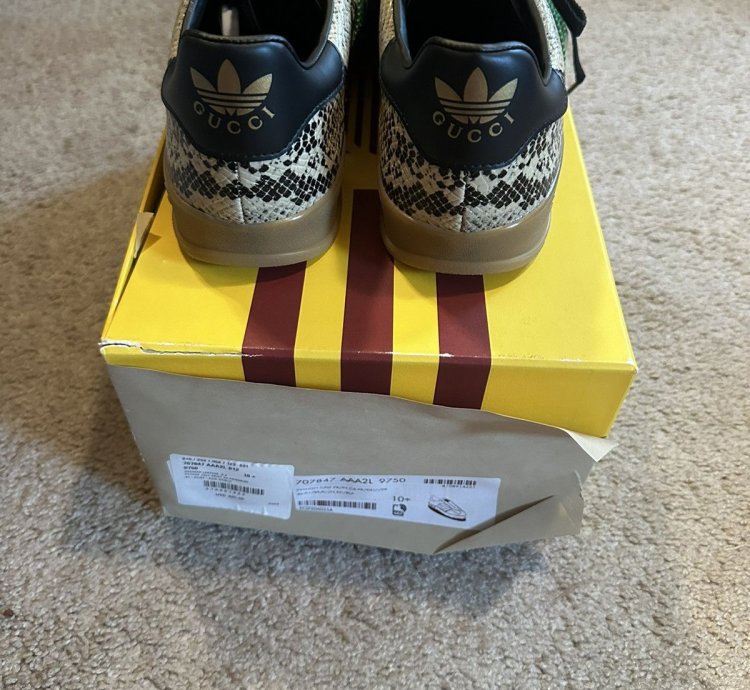 Gucci Adidas Gazelle Python