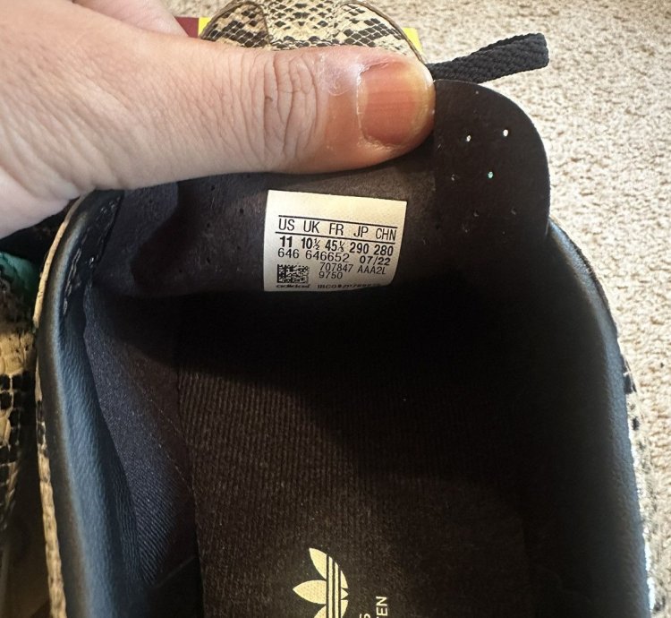 Gucci Adidas Gazelle Python