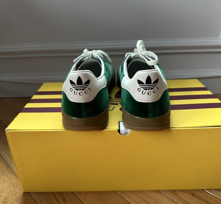 Gucci Adidas Gazelle Sneaker