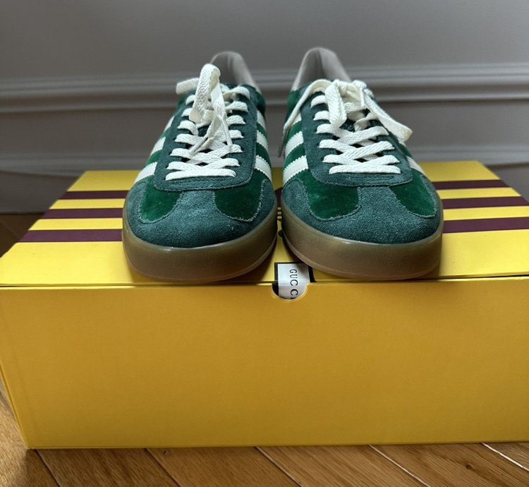 Gucci Adidas Gazelle Sneaker