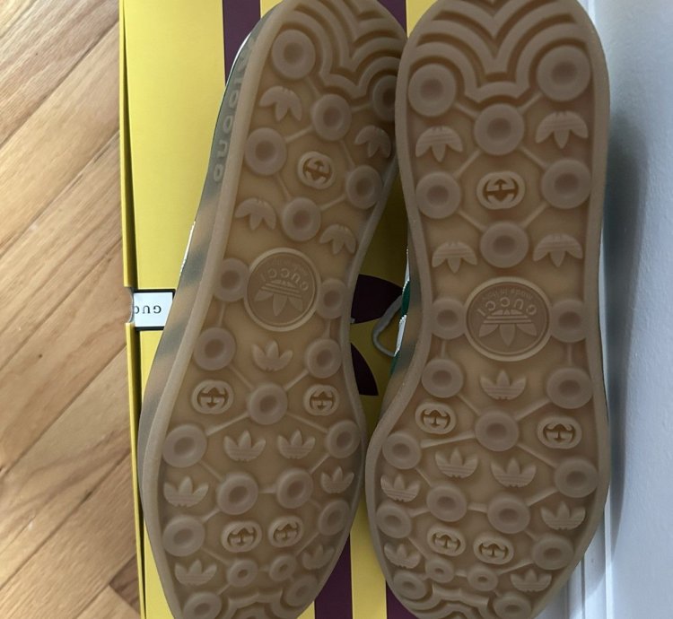 Gucci Adidas Gazelle Sneaker