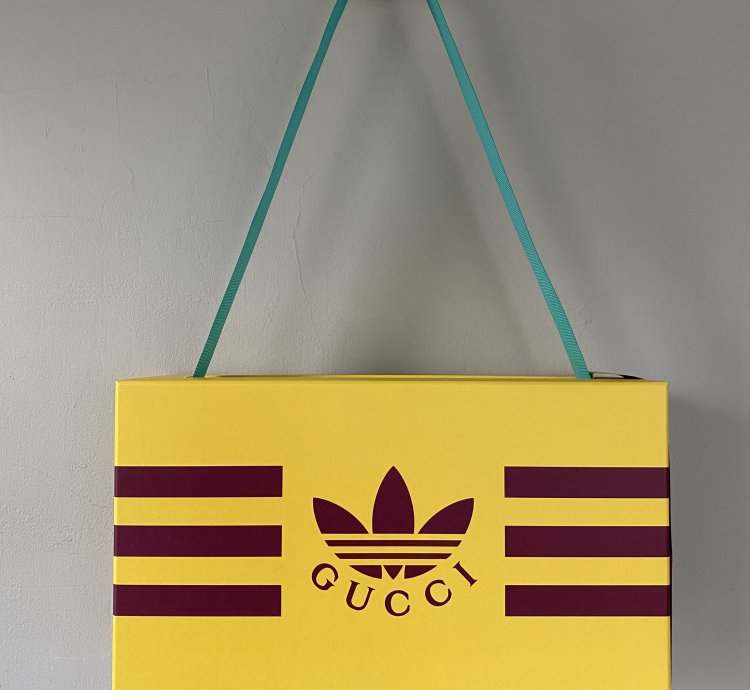 Gucci Adidas men Gazelle