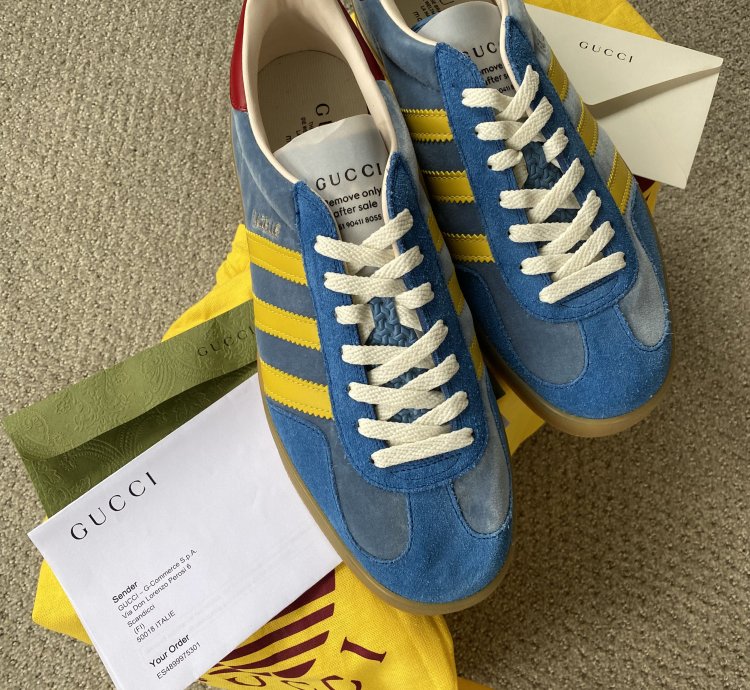Gucci Adidas men Gazelle