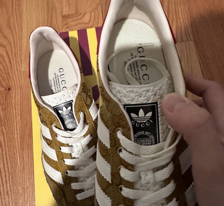 Gucci Adidas Monogram sneaker