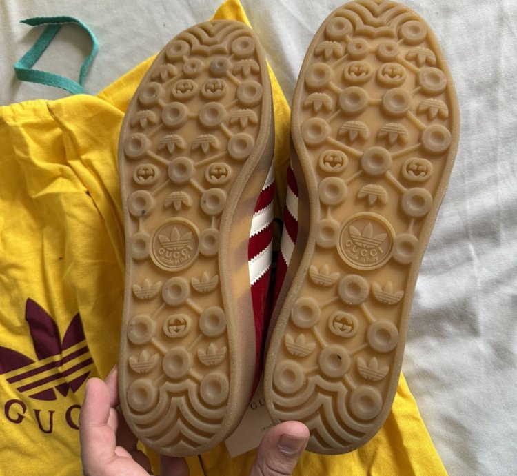 Gucci Adidas samba