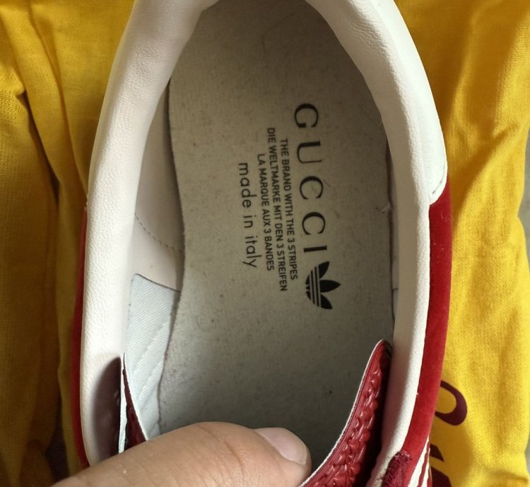 Gucci Adidas samba