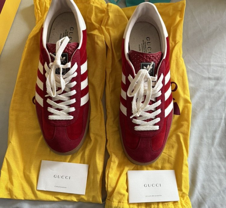 Gucci Adidas samba