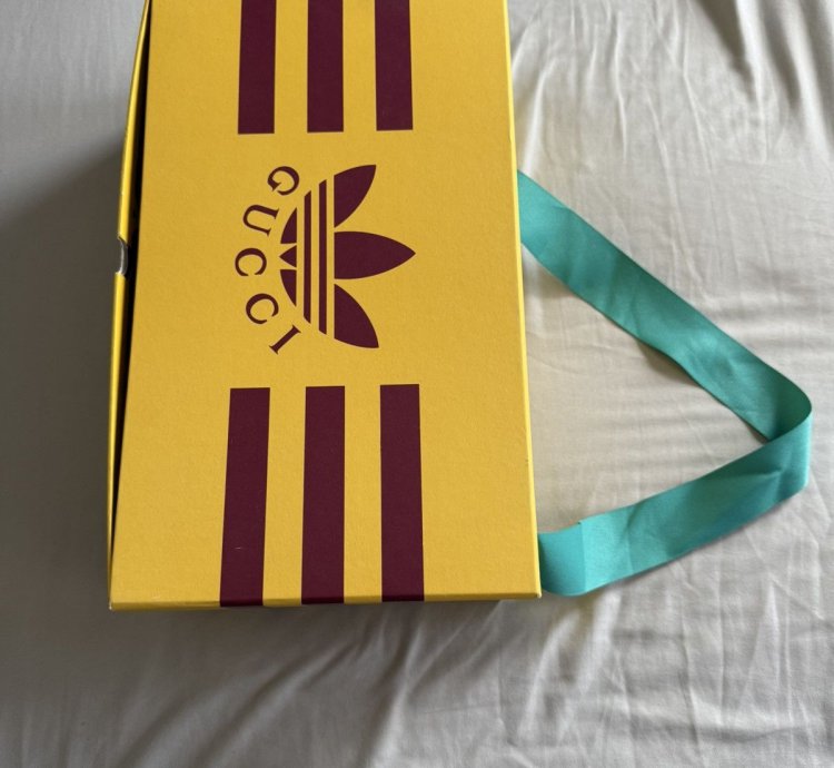 Gucci Adidas samba