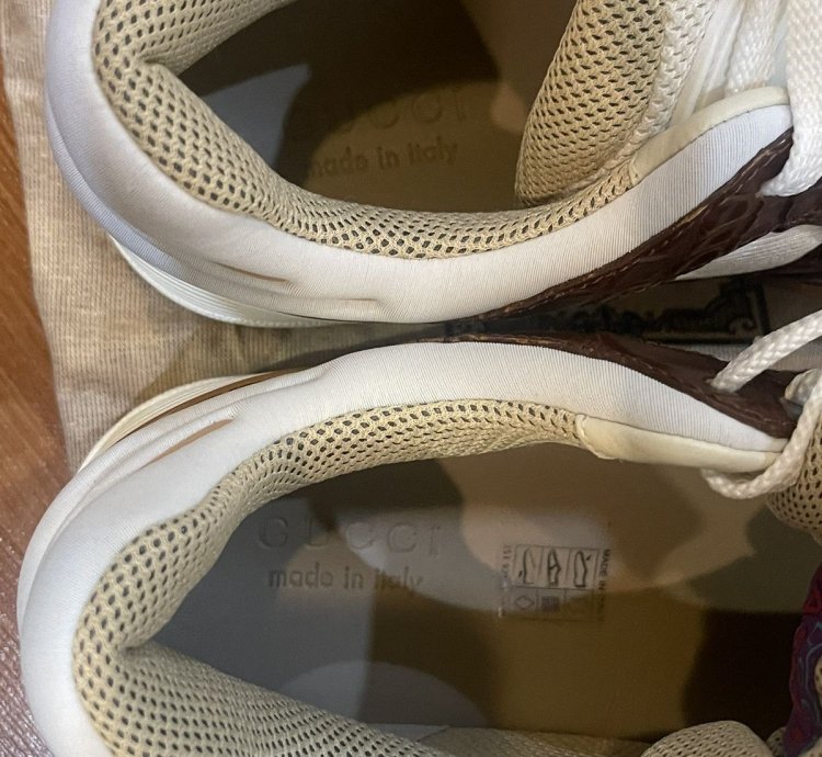 GUCCI Basket Nojum Alligator Sneaker