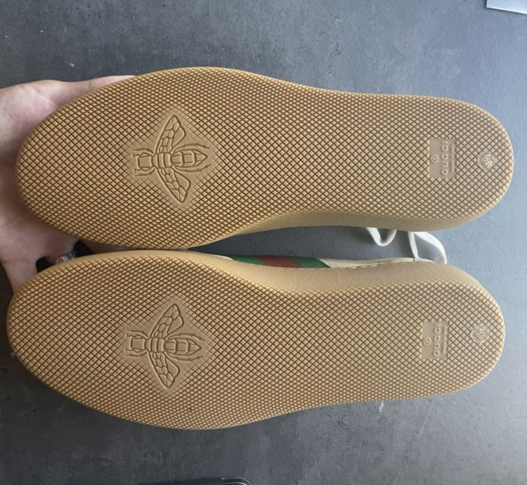 Gucci calfskin suede sweet web sneakers