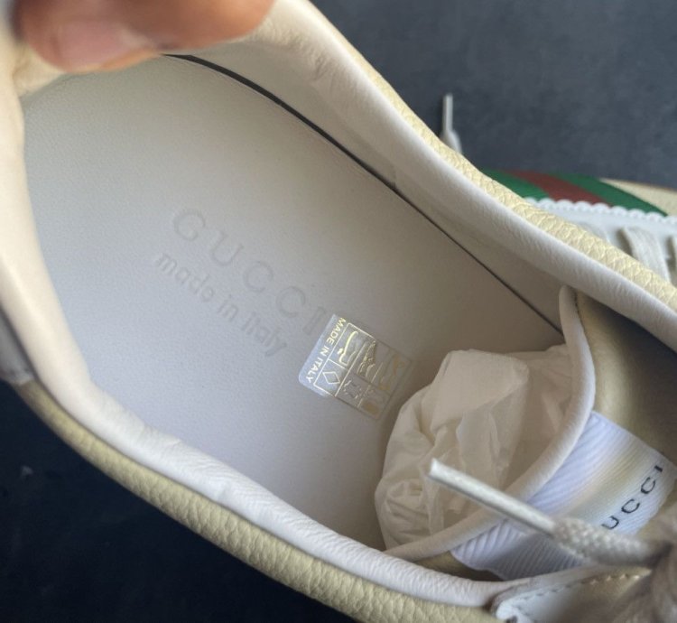 Gucci calfskin suede sweet web sneakers