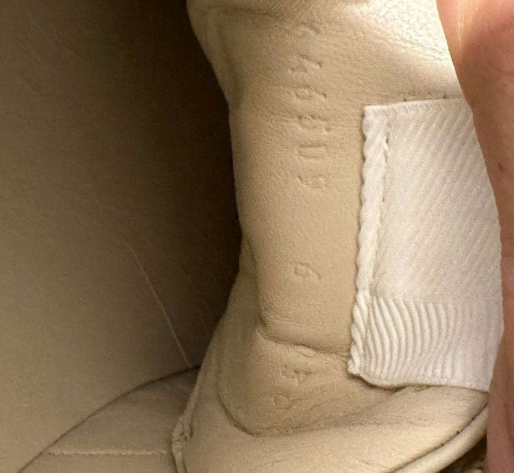 Gucci Disney Rhyton sneaker