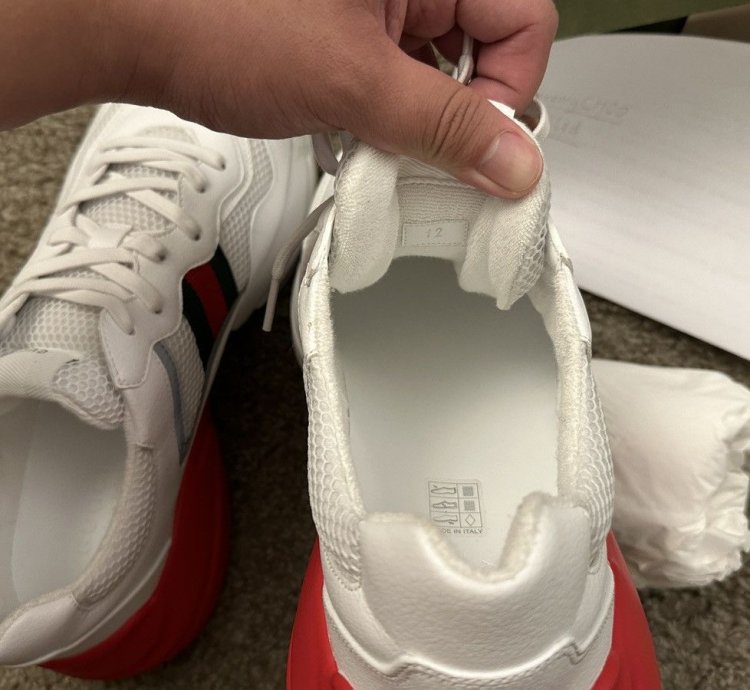 Gucci Fabric Rython Sneaker Brand New