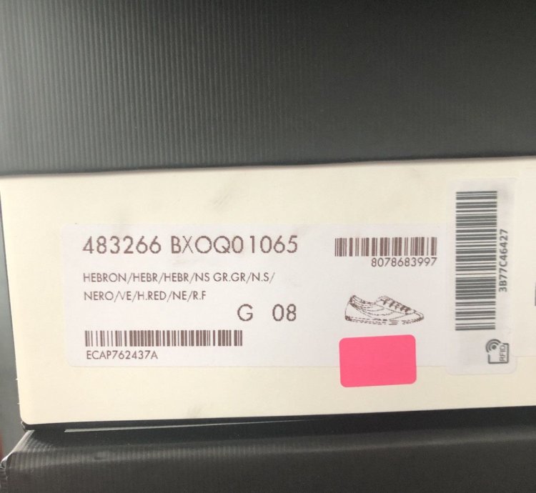 Gucci Falacer Sneakers