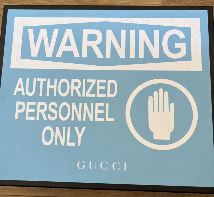 Gucci flashtrek White