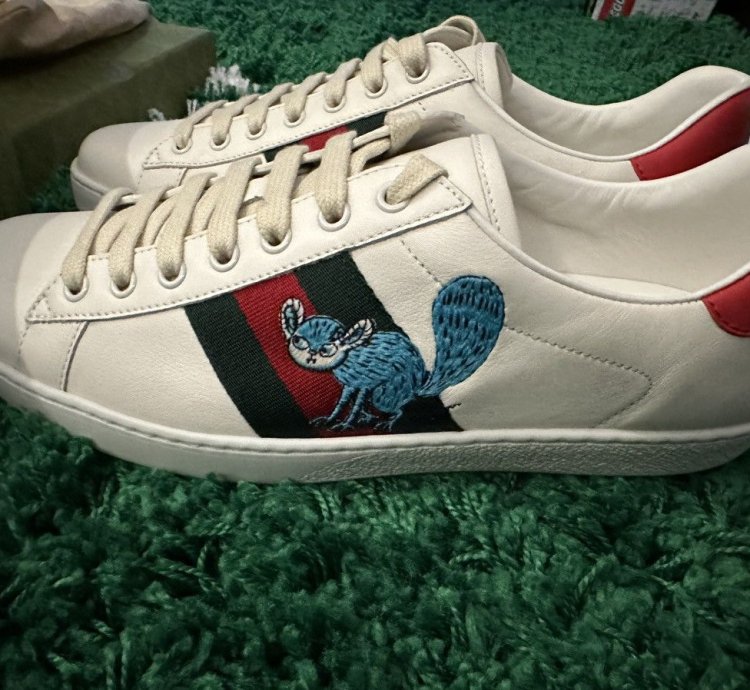 Gucci Freya Ace Shoes