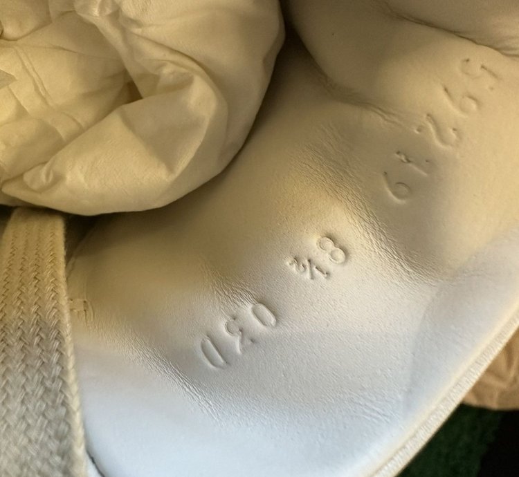 Gucci Freya Ace Shoes