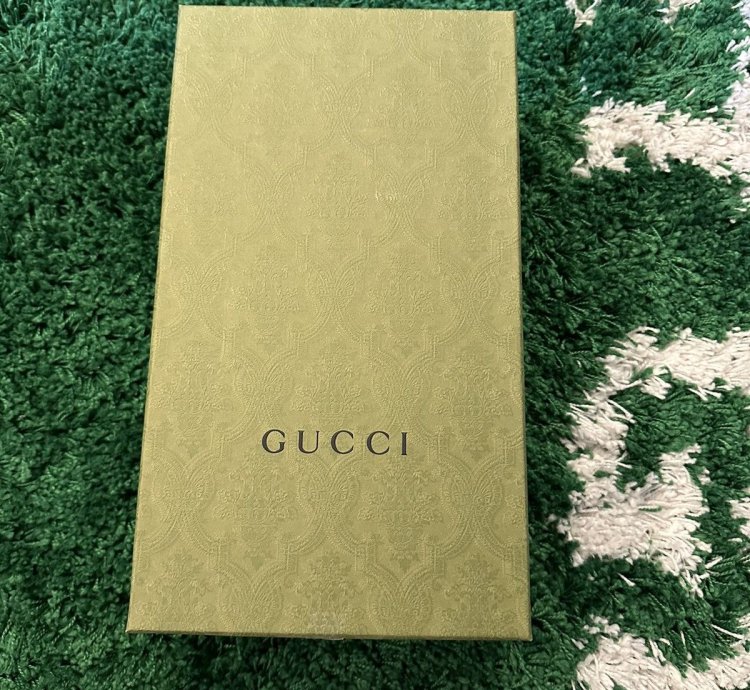 Gucci Freya Ace Shoes