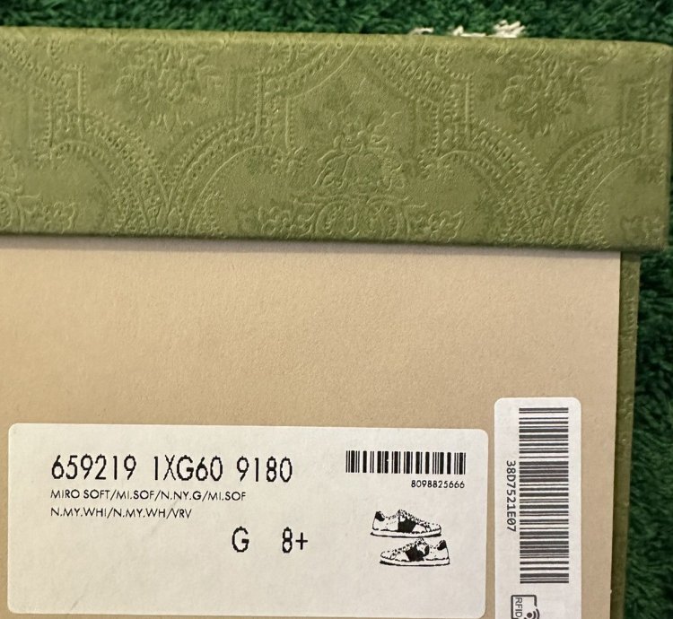Gucci Freya Ace Shoes