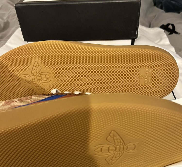 Gucci G74 Brick Red Beige
