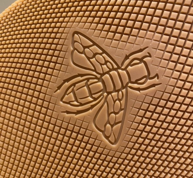 Gucci Low Suede Sneaker