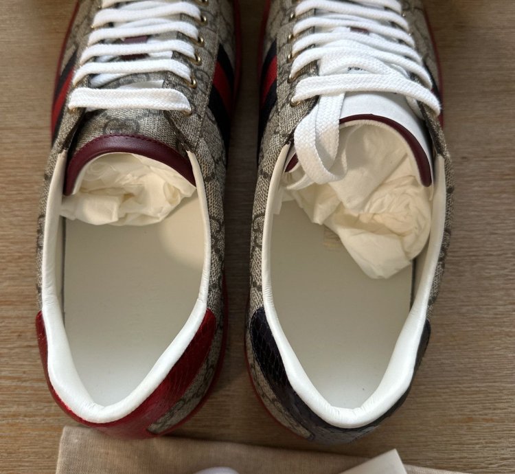 Gucci Men Ace Coated Canvas Sneakers