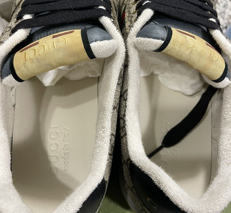 Gucci Screener Low Top