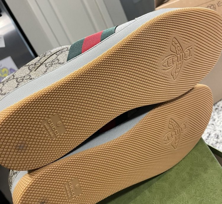 Gucci Screener Low Top