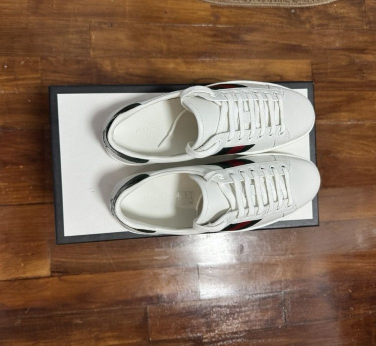 Gucci sneaker men