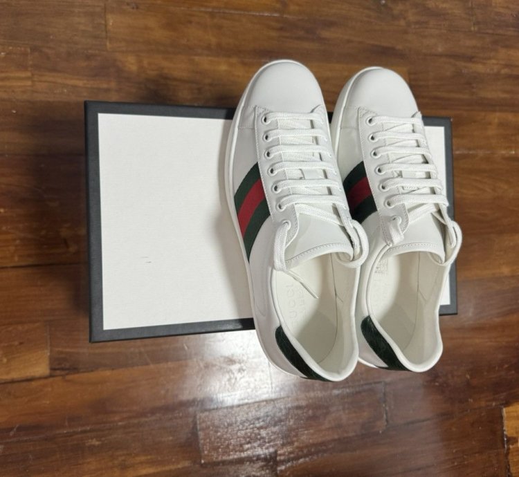Gucci sneaker men