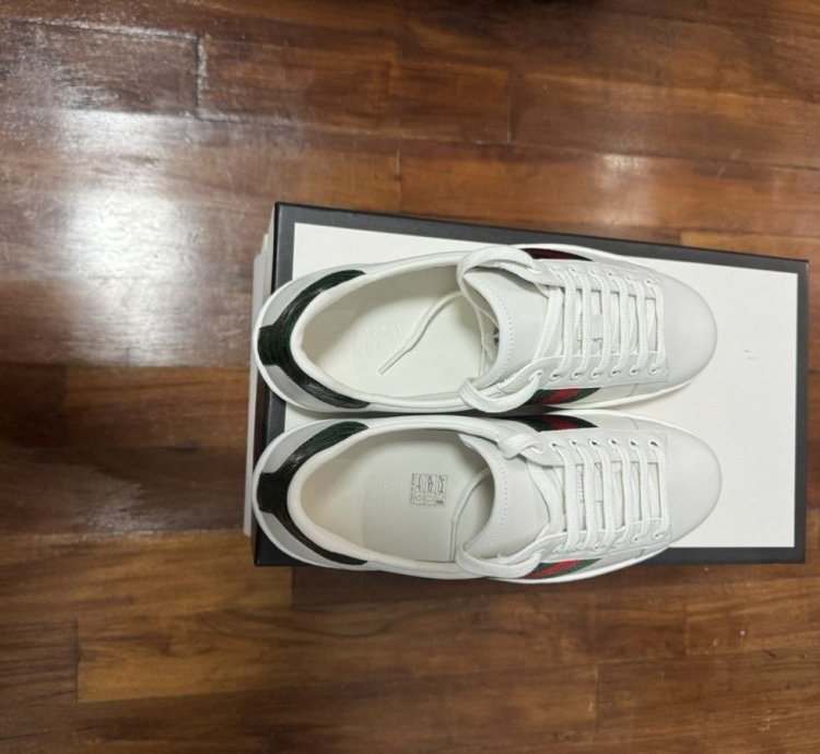Gucci sneaker men